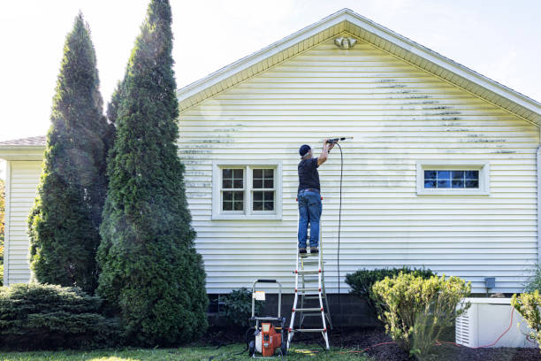 Best Driveway Pressure Washing  in Canonsburg, PA